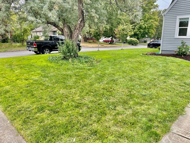 Building Photo - Audubon Park Rental!