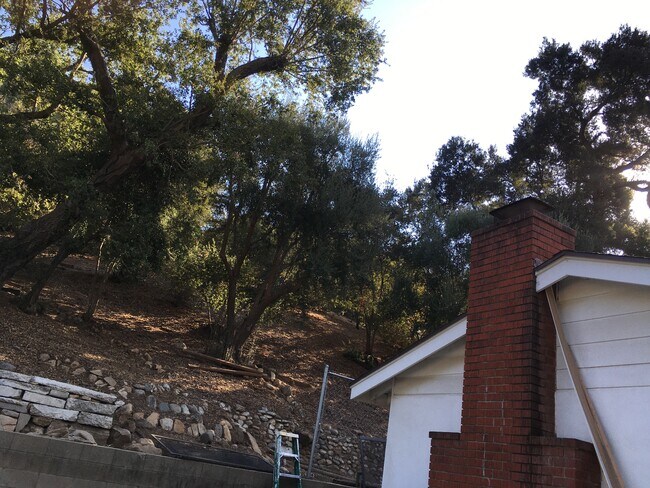 Hill behind house - 4558 Live Oak Canyon Rd