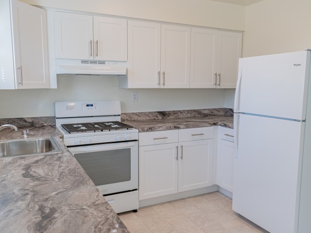 Sample Kitchen - Carlisle Park Apartments