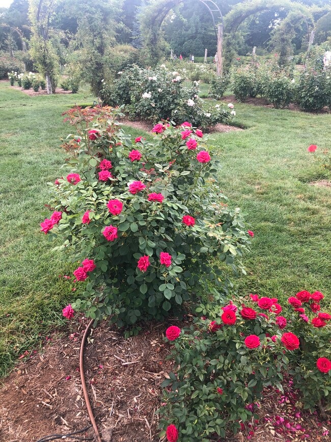 Foto del edificio - 1144 Boulevard