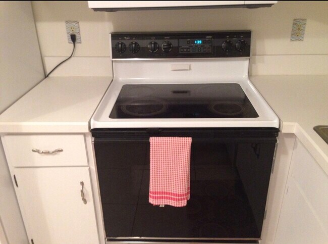 Stove - 1601 Big Tree Rd