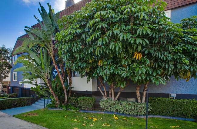 3501 JASMINE AVE. - 3501 Jasmine Ave