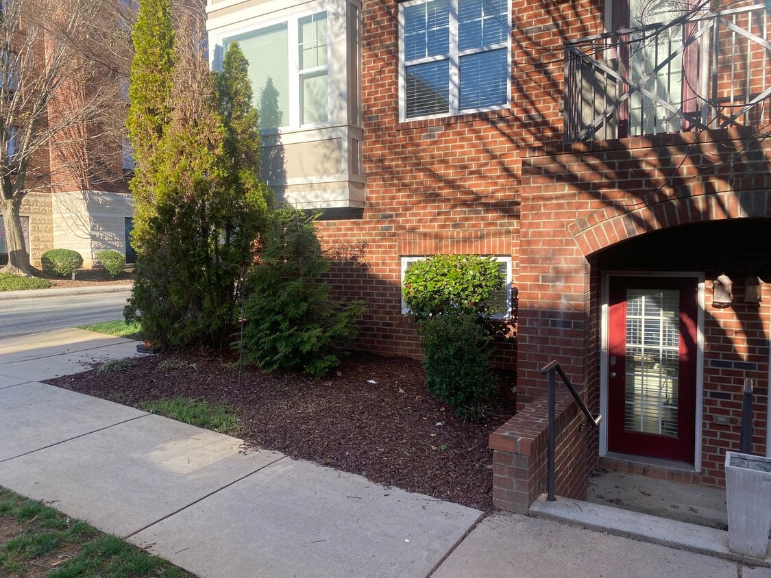 Primary Photo - Modern Studio in Davidson, NC