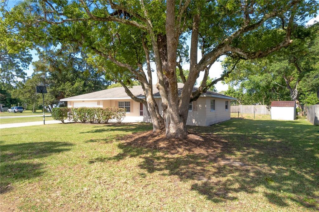 37325 Turner Dr, Umatilla, FL 32784 House Rental in Umatilla, FL