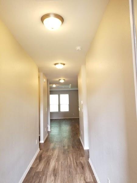 Building Photo - 4366 Roaring Timber Drive, Conroe, TX 7730...