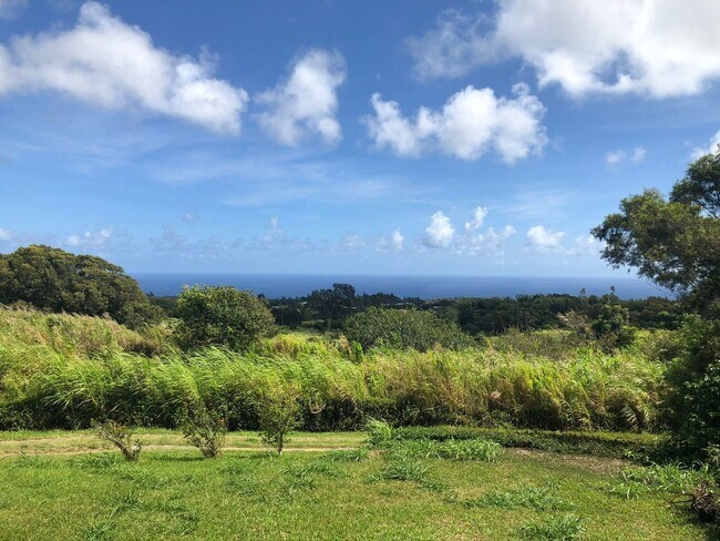Foto del edificio - Fully Furnished Turn-Key 3 bd, 2 ba Ocean View Home In Hawi on 1 acre