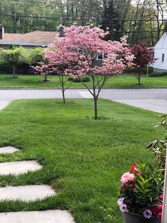 1 Prospect St Unit 1, Natick, MA 01760 Condo for Rent in Natick, MA