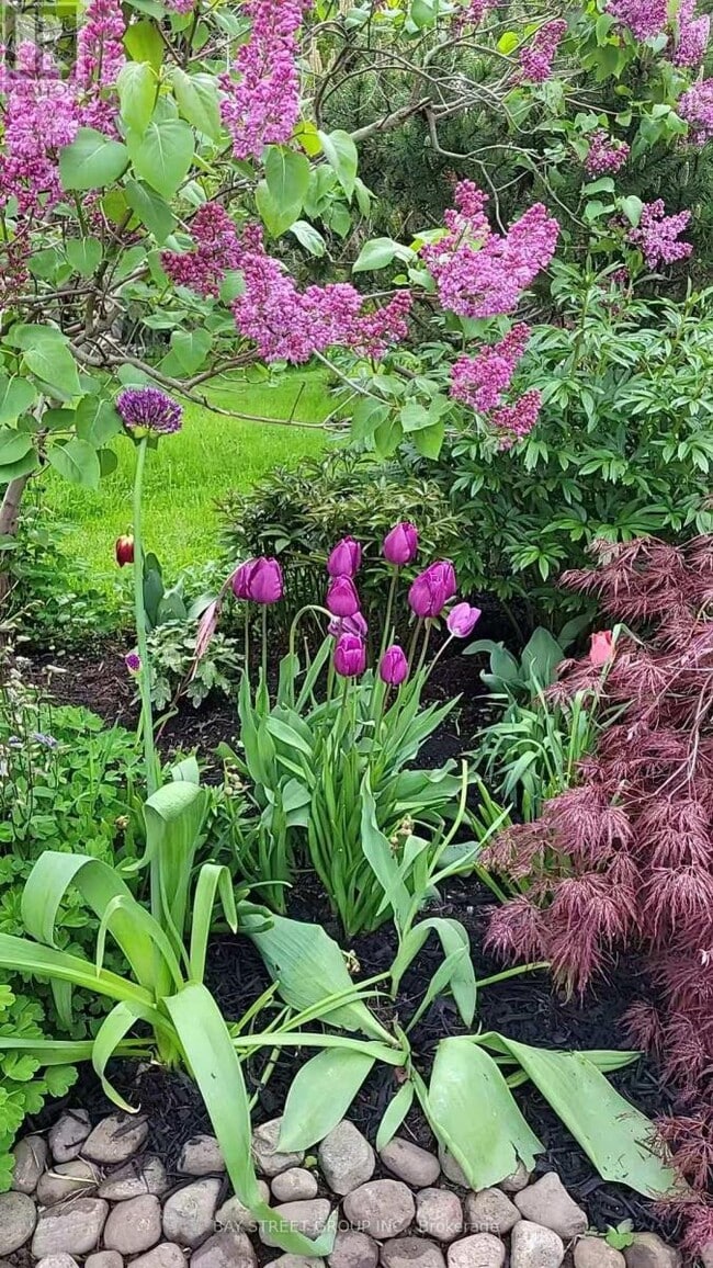 Building Photo - 103 Glentworth Rd