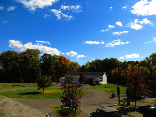 Building Photo - Elm Estates