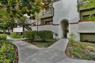 Building Photo - 614 San Conrado Terrace