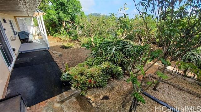 Building Photo - 2407 St Louis Dr