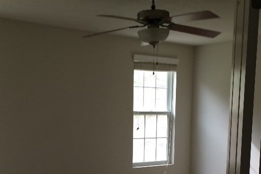 Building Photo - 31 Abbeywood Ln