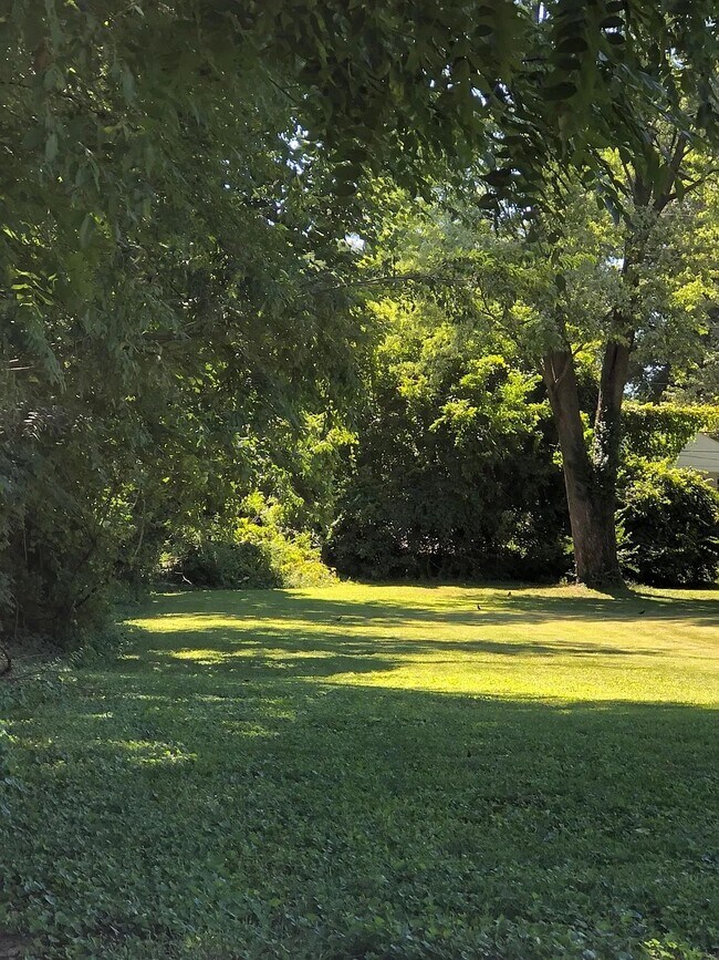 Foto del edificio - 131 N Hillsdale Dr