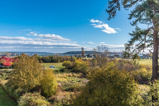 Building Photo - 2 Bed 2 Bath Point Of View Condo