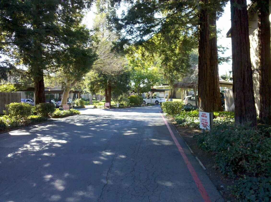 Primary Photo - 1350 Tree Garden Pl