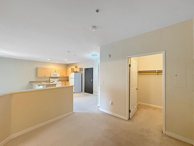 Building Photo - Spacious Studio w/ Washer/Dryer In-Unit, P...