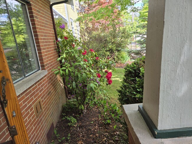 Los rododendros en flor vistos desde el porche delantero. - 4005 N 24th St