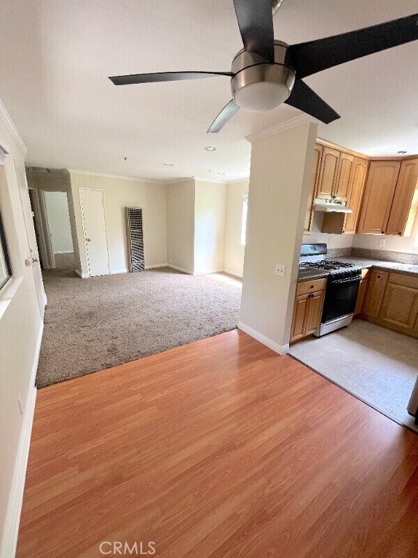 Building Photo - 248 W Avenida Palizada