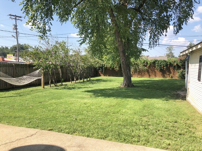 Backyard - 2833 NW 15th st