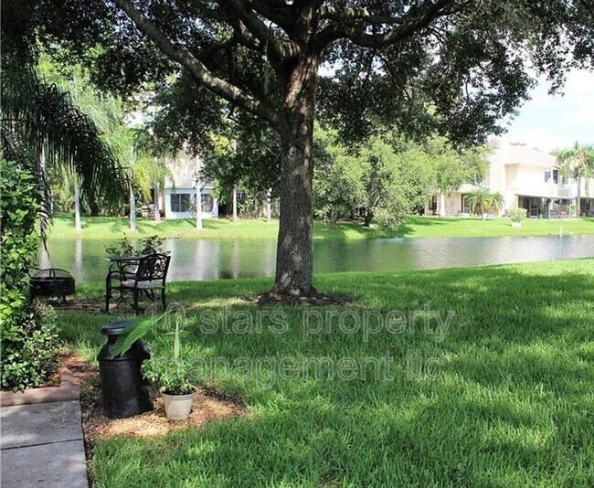 36 Emerald Bay Dr, Oldsmar, FL 34677 Townhome Rentals in Oldsmar FL