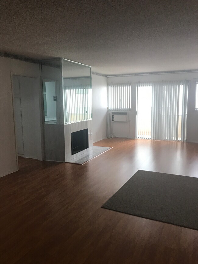 Chimenea en la sala de estar - 1828 Camden Ave