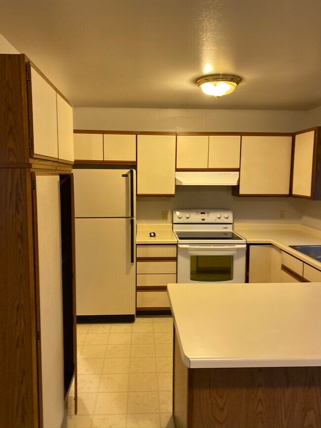 Kitchen - 807 Meadowview Ln