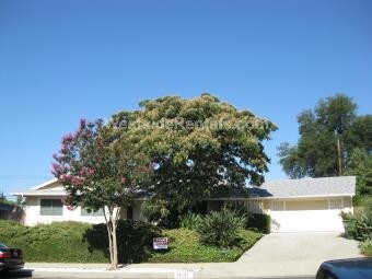 Primary Photo - 10131 Oso Ave