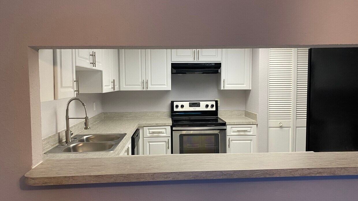 3709 Greenery Ct Unit 209, Tampa, FL 33618 Condo for Rent in Tampa