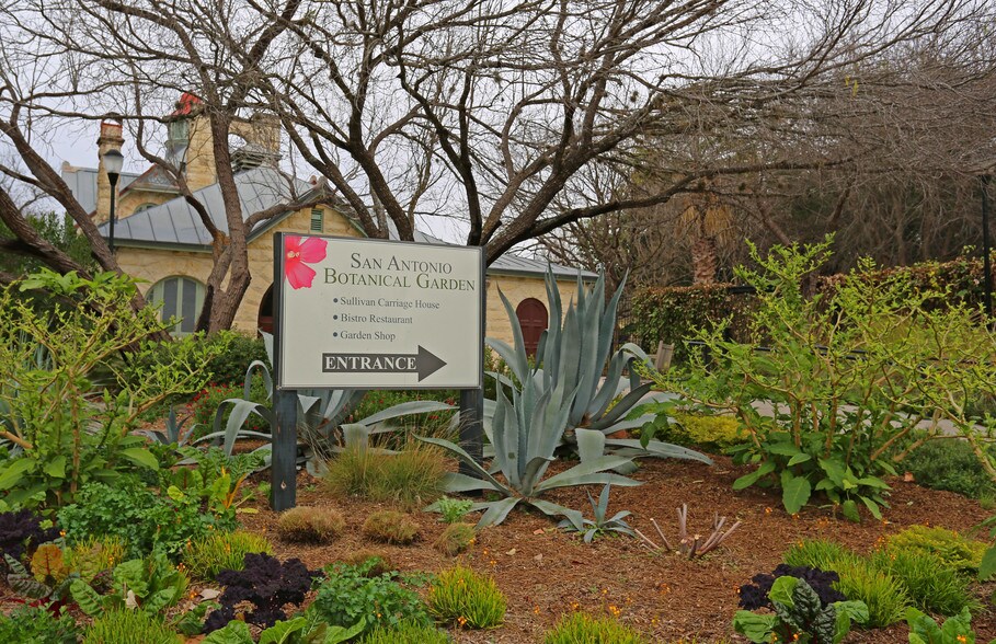 Picture of Midtown San Antonio