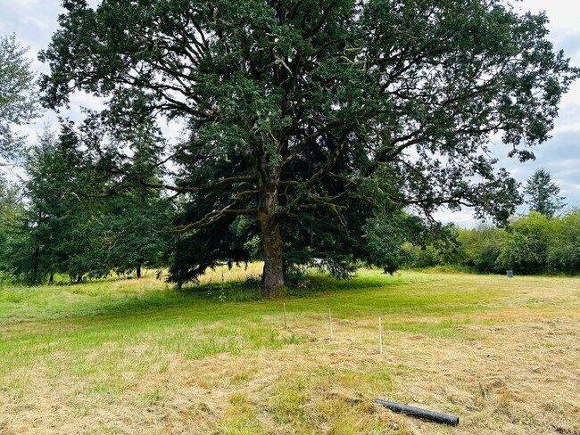 Building Photo - Newly Remodeled Acreage Property