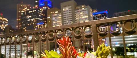 Foto del edificio - 1520 Fannin St