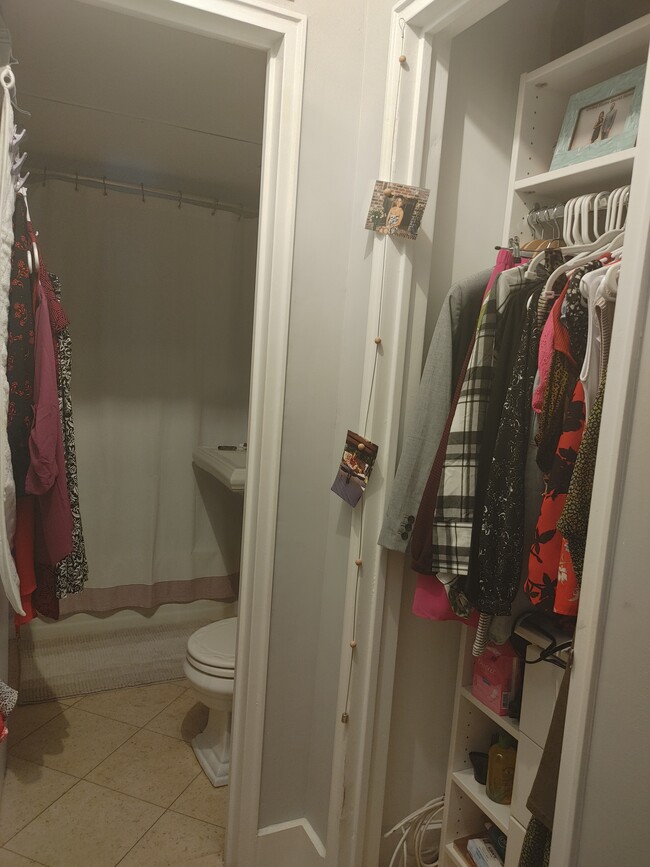 Bathroom and reach in closet - 1301 N Ode St