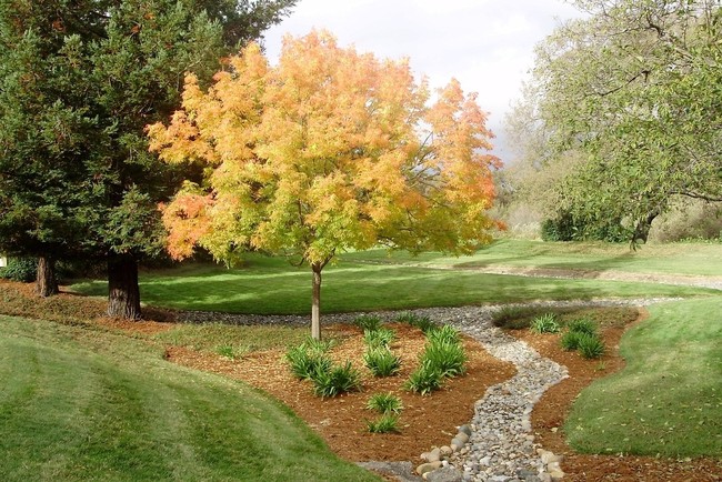 Nature Path - Oak Creek