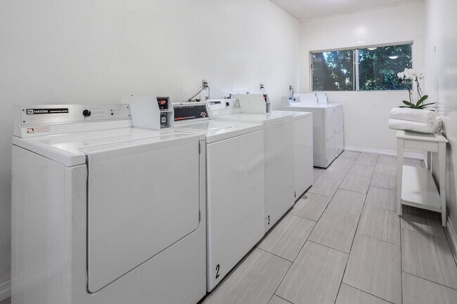 Foto del interior - LE Cove