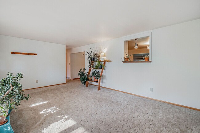 Front Living Room - 804 Theo Ave