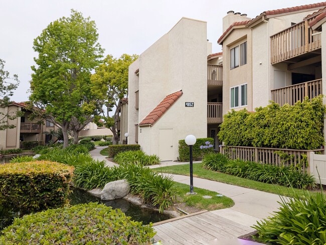 Building Photo - 4852 Cabana Dr