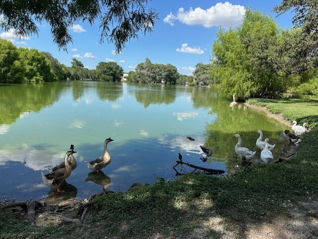 Foto del edificio - Vista Lago