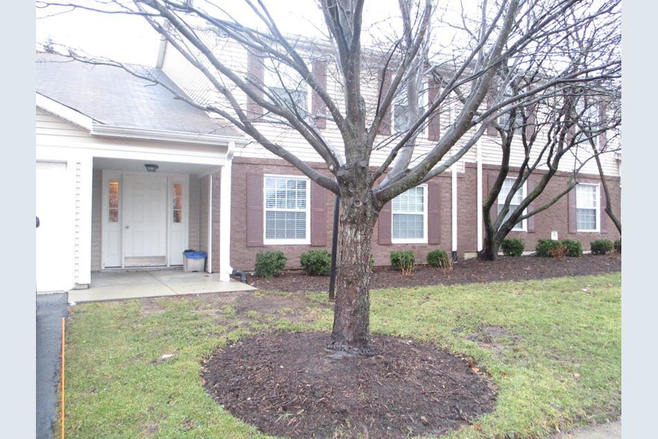 Foto principal - 377 Newport Ln