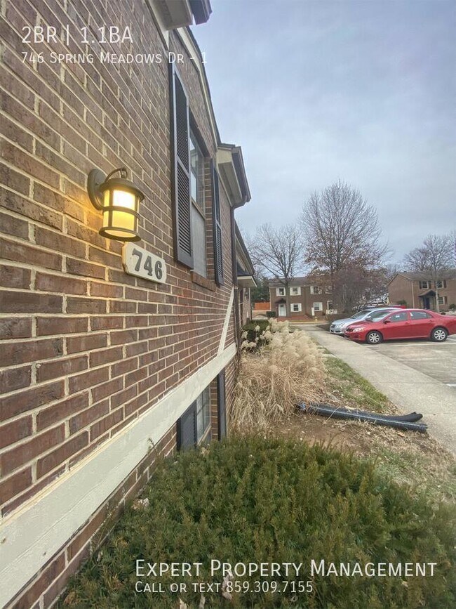 Foto del edificio - 746 Spring Meadows Dr