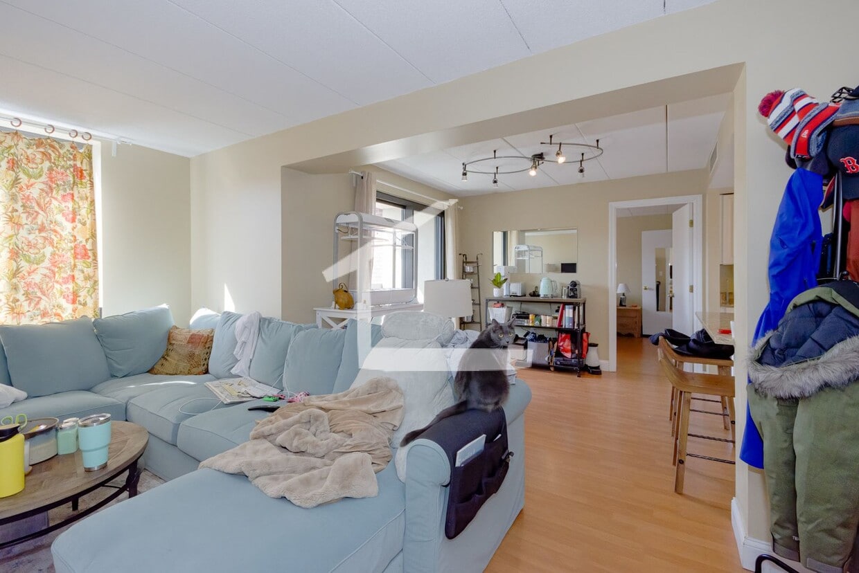 Modern, Spacious Allston Apt w/ Washer & D... - Upscale 2bed/2 bath