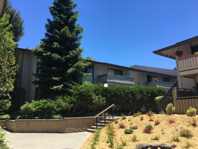 Foto del edificio - 1443 Marchbanks Dr