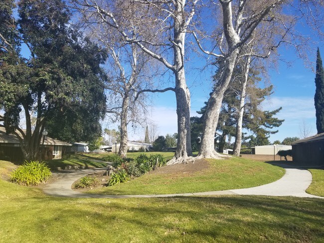 Building Photo - 2 Bed 1 Bath Condo Across From Hillcrest Park