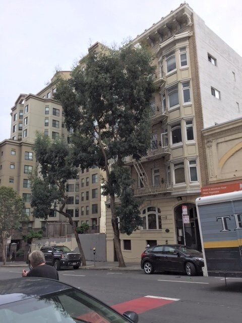 665 Geary St San Francisco - 665 Geary St