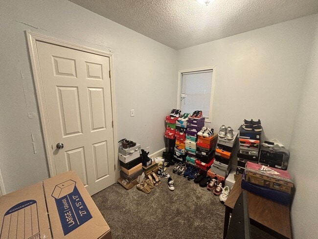 Building Photo - 3 Bedroom Lower Unit Duplex