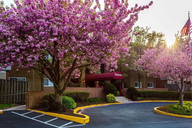 Main Entrance - 46 Township Line Rd