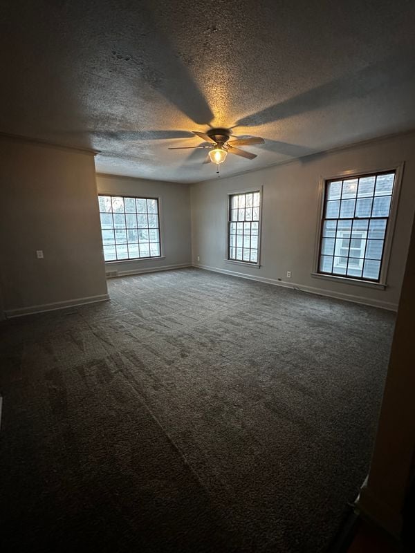 Building Photo - 1703 10th St