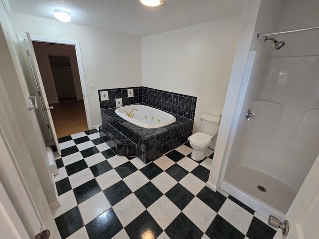 Large tub with separate shower - 133 Mitchell St