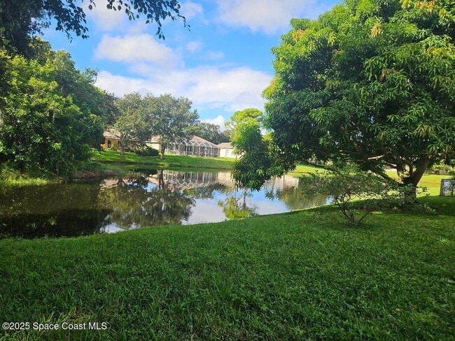 Lake - 911 Wood Creek Dr