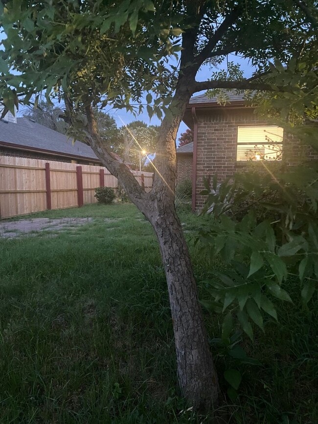 Foto del edificio - 1007 Dandelion Dr