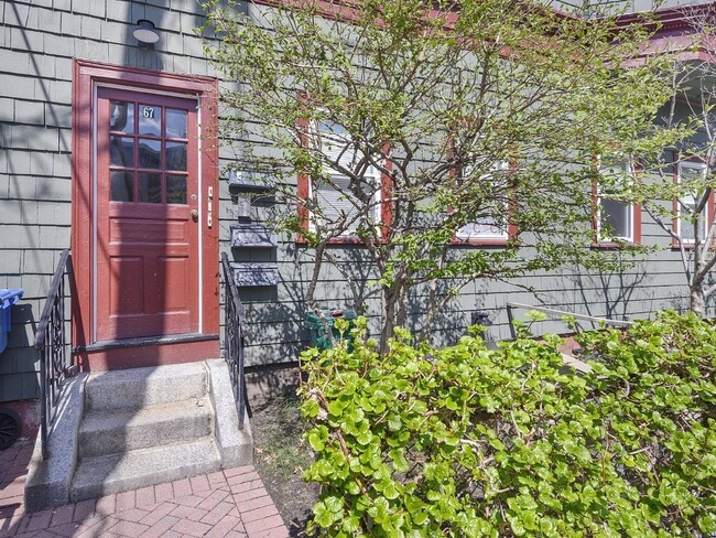 Building Photo - 67 Ellery St